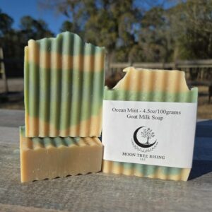 Breathe Easy is a handcrafted goat milk soap scented with eucalyptus and mint for a cool, refreshing experience. This soap offers a spa-like feel while providing a gentle cleanse. Made in small batches with fresh goat milk, it produces a creamy lather suitable for daily use.