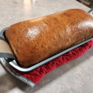 Fresh baked plain sourdough loaf in a loaf pan resting on a quilted potholder at Moon Tree Farm.