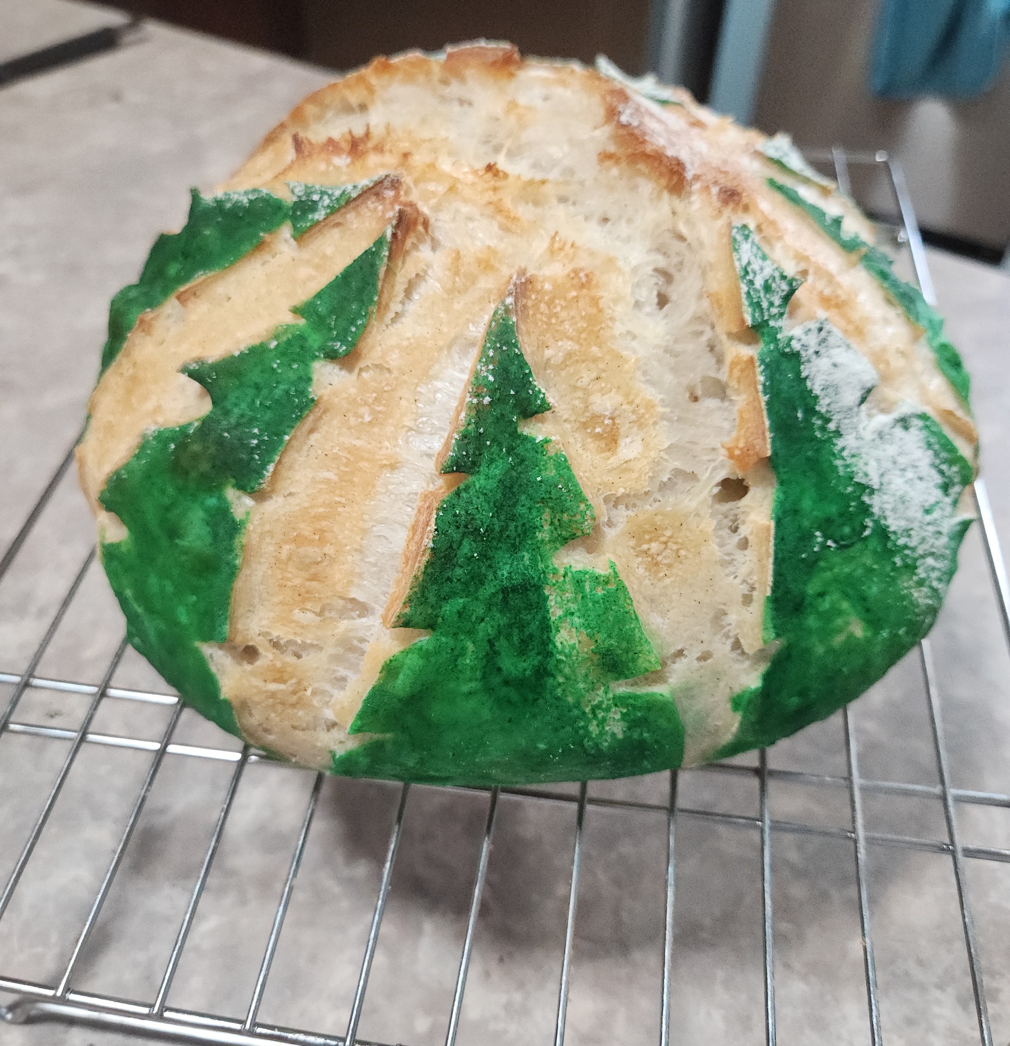 Decorative sourdough bread loaf with green evergreen tree stencil design cooling on rack