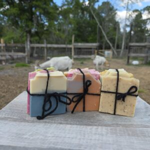 Sample Pack (4 Bars)