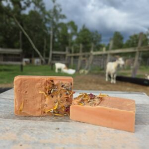 Bee Minty goat milk soap bars with a warm honey colored finish, botanical topping, and goats in the background at Moon Tree Farm.